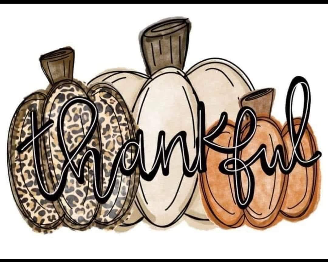 Thankful leopard pumpkins